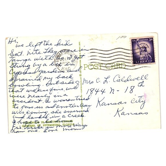 Flamingos In Tropical Garden Scene Vintage Postcard USA 1960 Handwritten Message - Picture 2 of 2